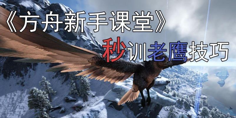 打造强大的阿根廷阵容攻略（掌握阿根廷队的特点与策略，在方舟手游中无敌！）