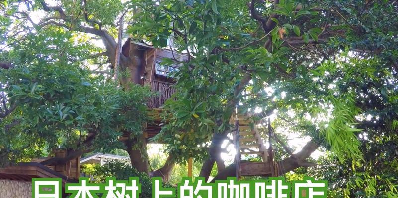 《享受日本咖啡店游戏攻略的乐趣》（揭秘咖啡店游戏的秘密，让你成为专业玩家）