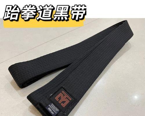 选择什么传说装备，提升柔道实力？（探索柔道传说装备的奥秘，助力你成为强者）