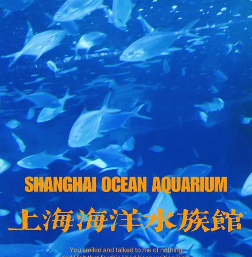 深海水族馆新手攻略（解密深海水族馆游览技巧，带你领略海洋奇观）